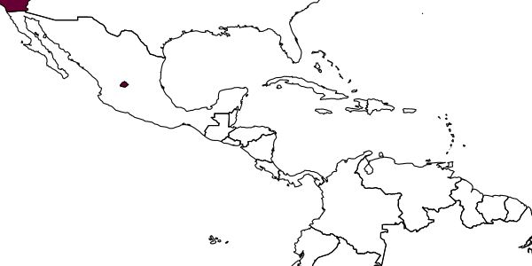 map of Vipio moneilemae     Gahan, 1931